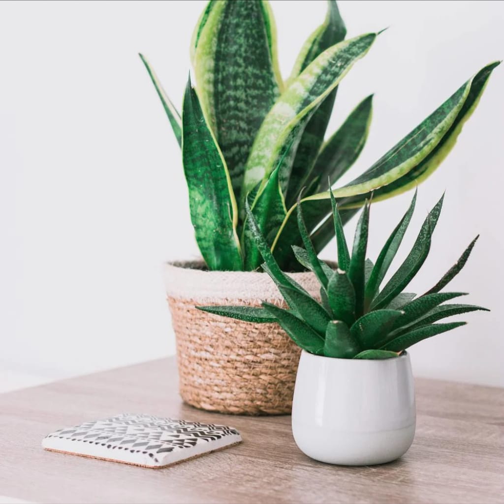 Maak je huis een [mark]thuis[/mark] met de juiste cadeaus