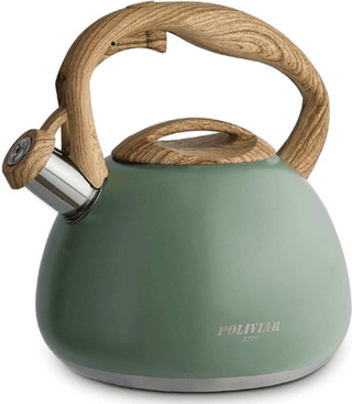 Moderne roestvrijstalen inductieketel