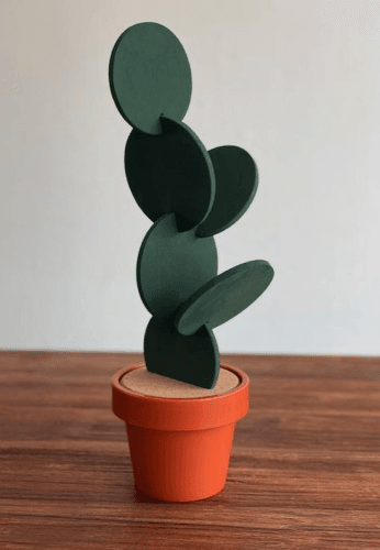 Onderzetters Voor Glazen - Cactus