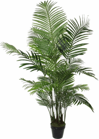 Mica Decorations Areca Kunstplant