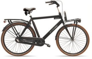 Avalon Style elektrische herenfiets
