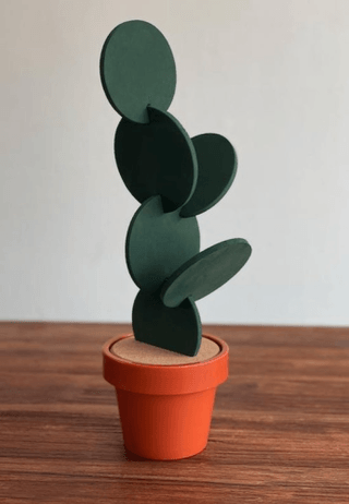 Onderzetters Voor Glazen - Cactus