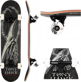 Birdhouse Pterodactyl skateboard