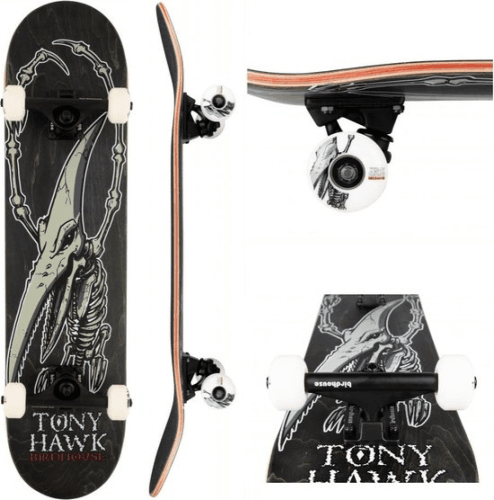 Birdhouse Pterodactyl skateboard